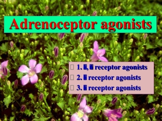 Adrenoceptor agonists
