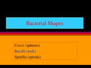 Bacterial Shapes