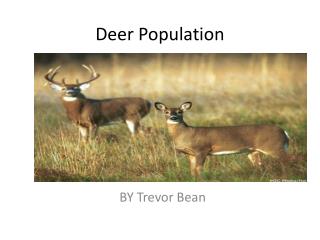 Deer Population