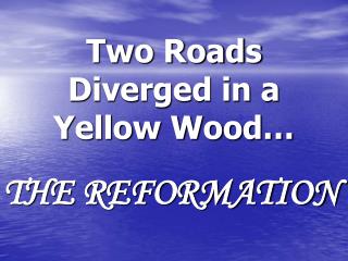 Two Roads Diverged in a Yellow Wood…