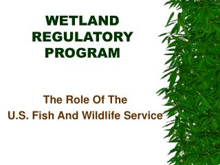 WETLAND REGULATORY PROGRAM