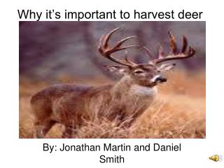 Why it’s important to harvest deer
