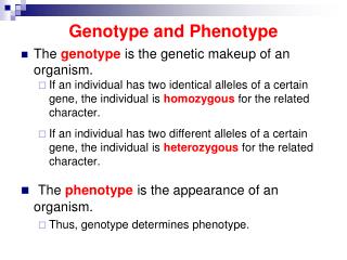 PPT - Genotype and Phenotype PowerPoint Presentation, free download ...