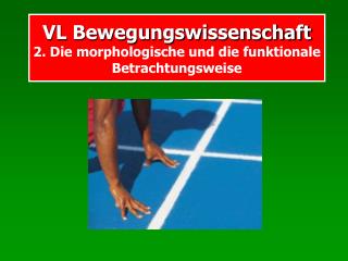 VL Bewegungswissenschaft 2. Die morphologische und die funktionale Betrachtungsweise