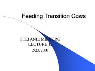 Feeding Transition Cows