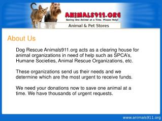 Help Animals - Animal Abuse