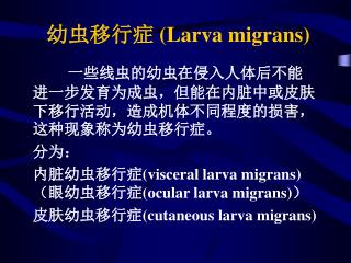 Ppt 幼虫移行症 Larva Migrans Powerpoint Presentation Free Download Id