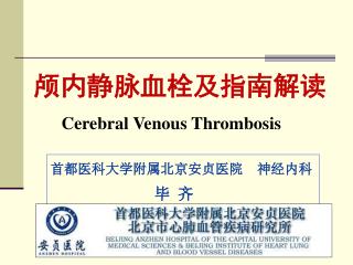 首都医科大学附属北京安贞医院 神经内科 毕 齐
