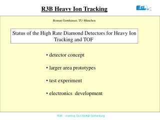 R3B Heavy Ion Tracking