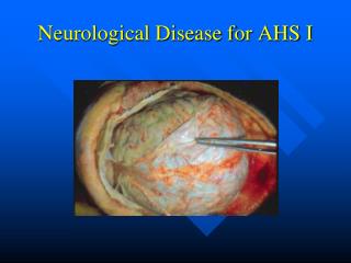 Neurological Disease for AHS I