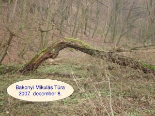 Bakonyi Mikulás Túra 2007. december 8.