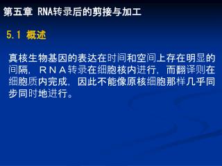 第五章 RNA 转录后的剪接与加工