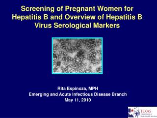 Screening of Pregnant Women for Hepatitis B and Overview of Hepatitis B Virus Serological Markers