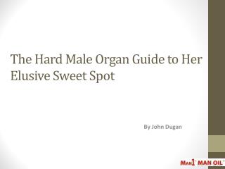 The Hard Male Organ Guide to Her Elusive Sweet Spot