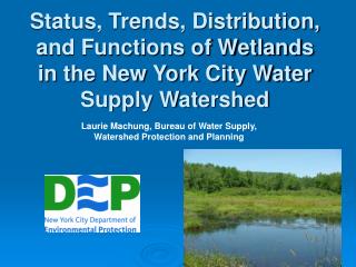 Status, Trends, Distribution, and Functions of Wetlands in the New York City Water Supply Watershed
