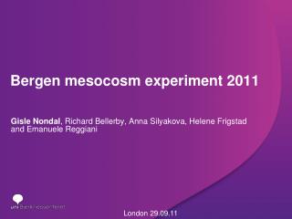 Bergen mesocosm experiment 2011