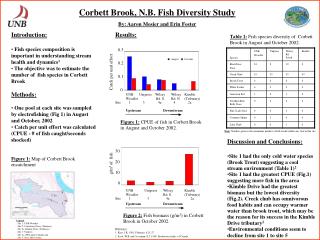 Corbett Brook, N.B. Fish Diversity Study By: Aaron Mosier and Erin Foster