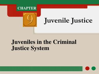Juveniles in the Criminal Justice System