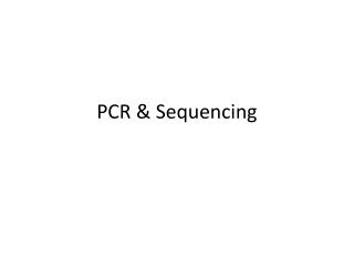 PCR & Sequencing