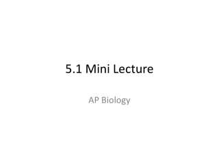 5.1 Mini Lecture