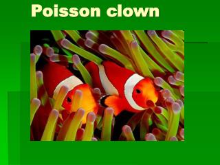 Poisson clown