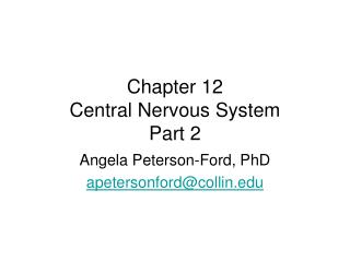 Chapter 12 Central Nervous System Part 2