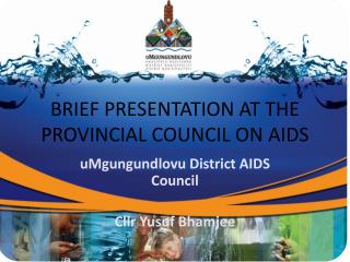 BRIEF PRESENTATION AT THE PROVINCIAL COUNCIL ON AIDS
