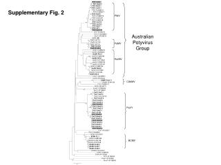 Supplementary Fig. 2