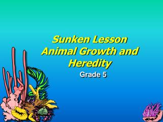 Sunken Lesson Animal Growth and Heredity