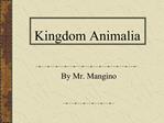 Kingdom Animalia