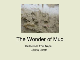 The Wonder of Mud