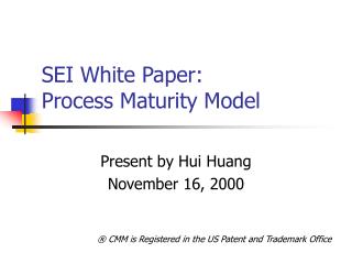 SEI White Paper: Process Maturity Model