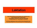 Laktation