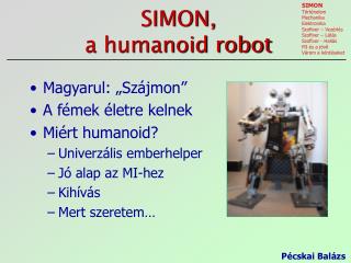 SIMON, a humanoid robot