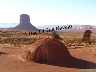 A Day Of The Navajo