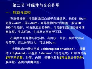 一、形态与结构