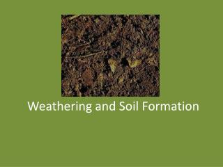 Weathering and Soil Formation