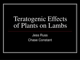 Teratogenic Effects of Plants on Lambs