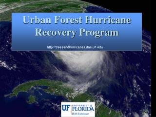 Urban Forest Hurricane Recovery Program