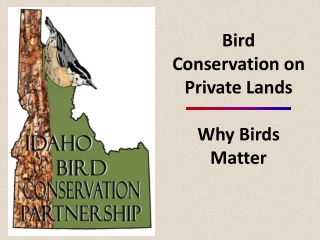 Bird Conservation on Private Lands Why Birds Matter