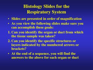 Histology Slides for the Respiratory System