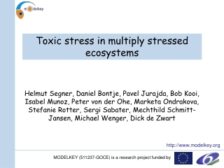 Toxic stress in multiply stressed ecosystems