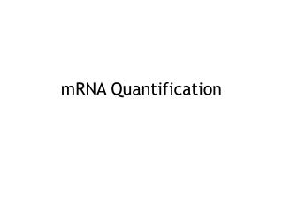 mRNA Quantification
