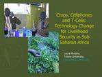 Crops, Cellphones and T-Cells: Technology Change for Livelihood Security in Sub Saharan Africa