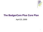 The BadgerCare Plus Core Plan