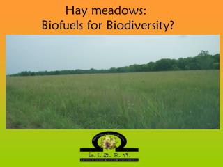 Hay meadows: Biofuels for Biodiversity?
