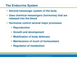 The Endocrine System