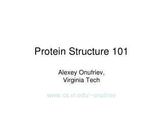 Protein Structure 101
