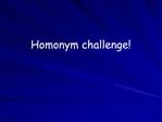 Homonym challenge