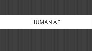 Human AP